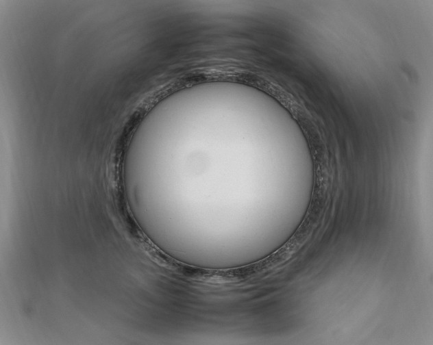 X0000112470755200908170950