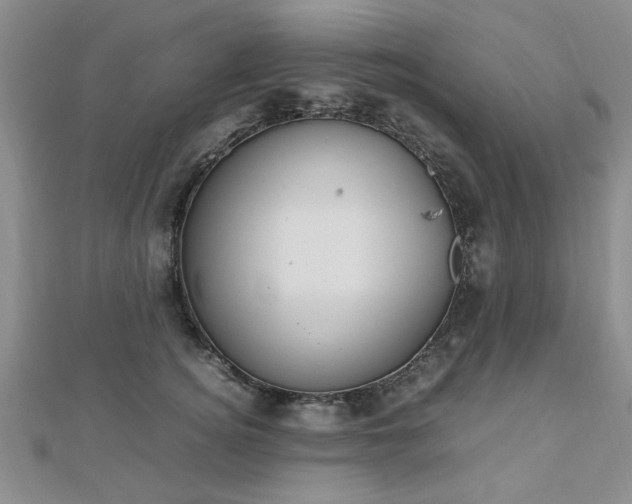 X0000112470756200908170950