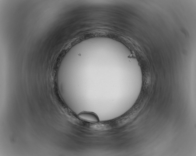 X0000112470759200908170950