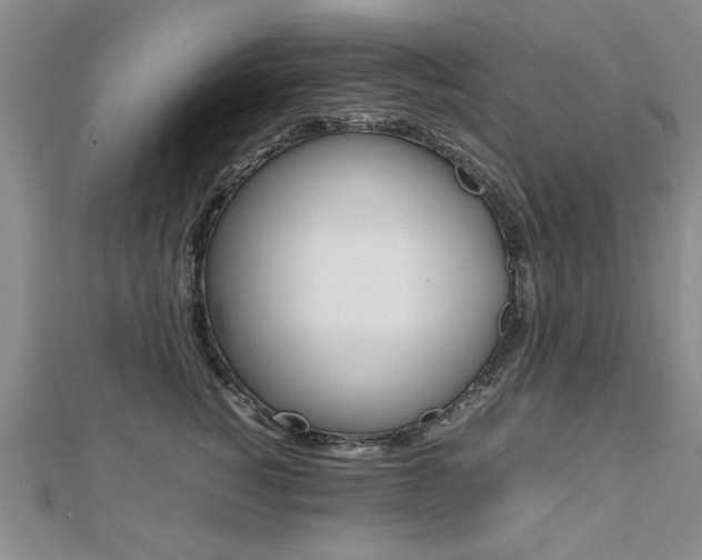 X0000112470760200908170950