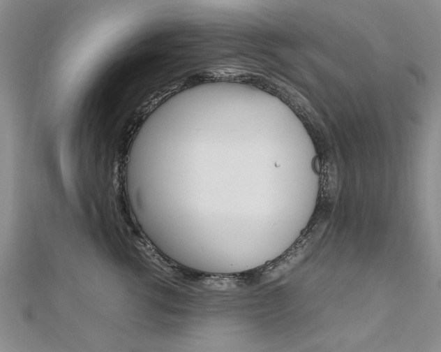 X0000112470762200908170950