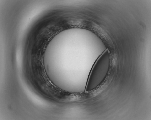 X0000112470764200908170950