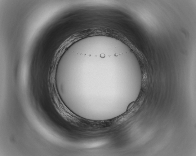 X0000112470765200908170950