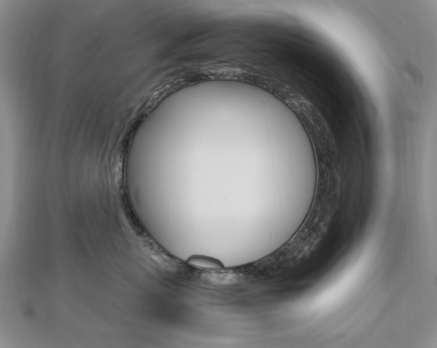 X0000112470767200908170950