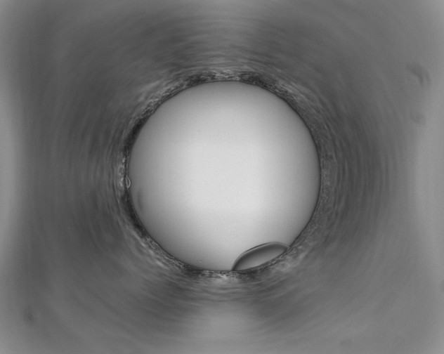 X0000112470768200908170950