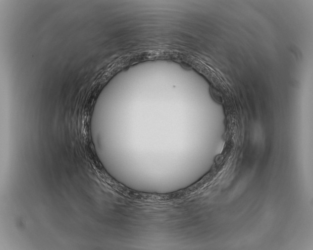 X0000112470770200908170950