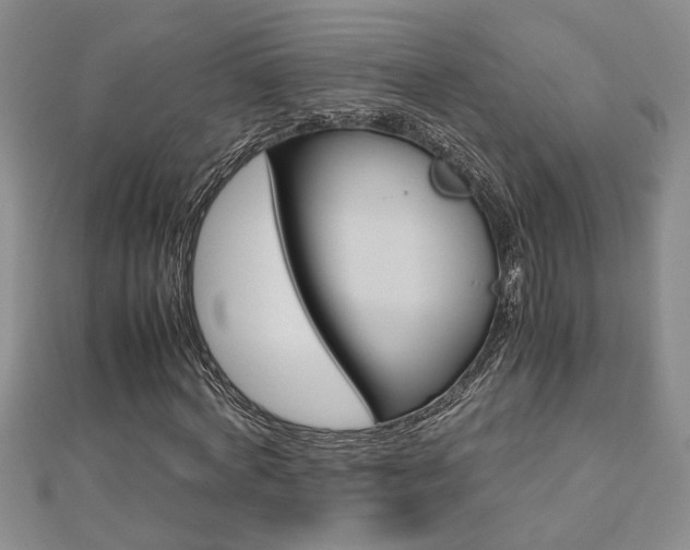 X0000112470772200908170950