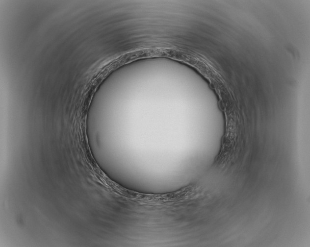 X0000112470773200908170950