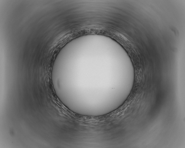 X0000112470774200908170950