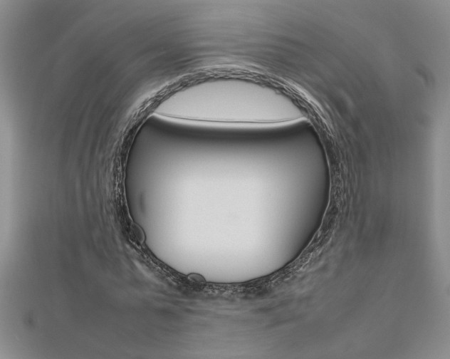X0000112470775200908170950