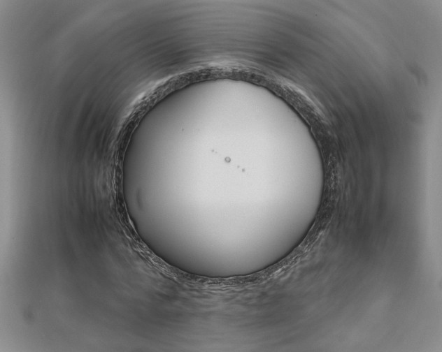 X0000112470776200908170950