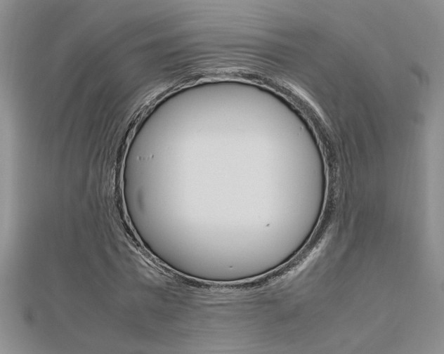 X0000112470777200908170949