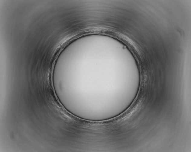 X0000112470778200908170949