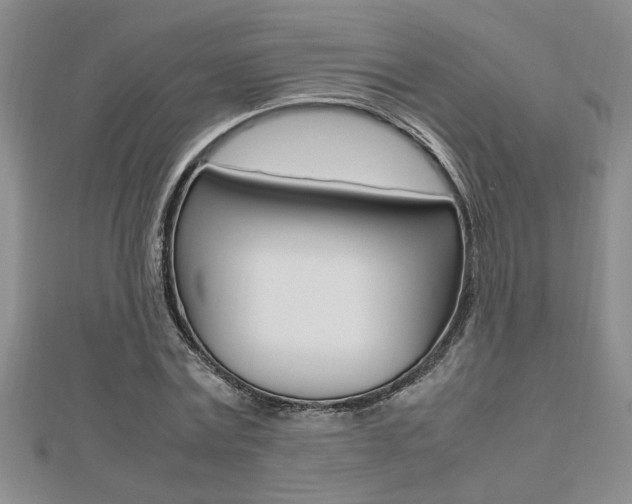 X0000112470779200908170949