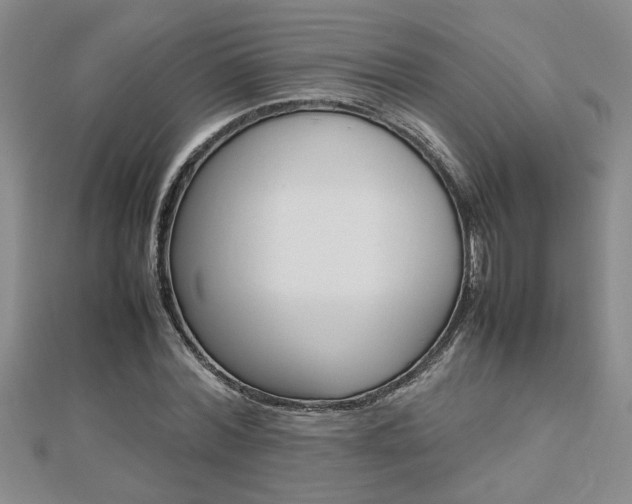 X0000112470780200908170949