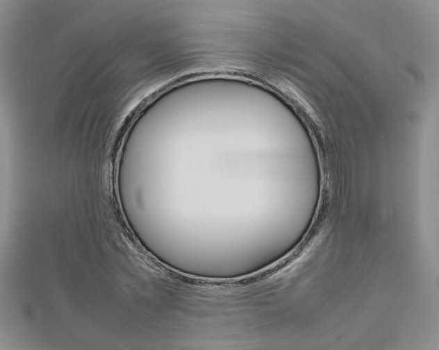 X0000112470781200908170949