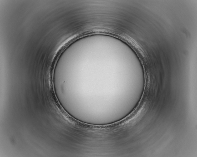 X0000112470782200908170949
