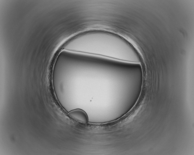 X0000112470783200908170949