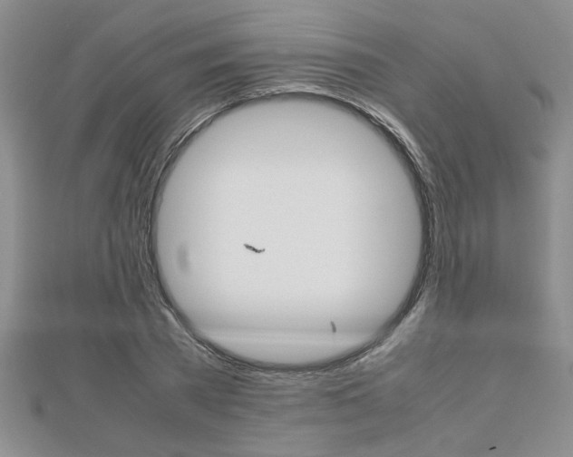 X0000112470785200908170949