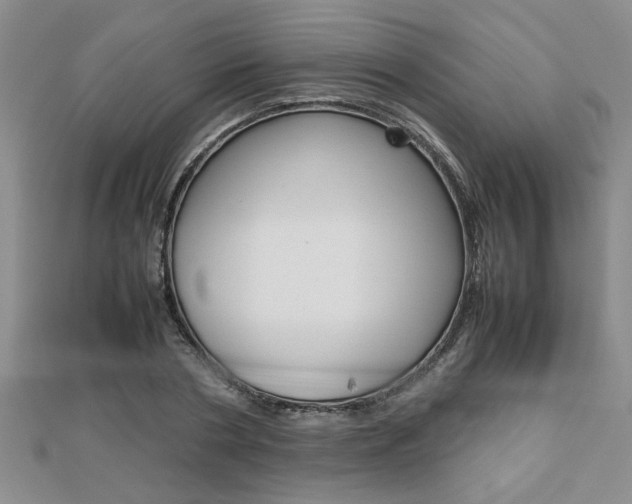 X0000112470786200908170949