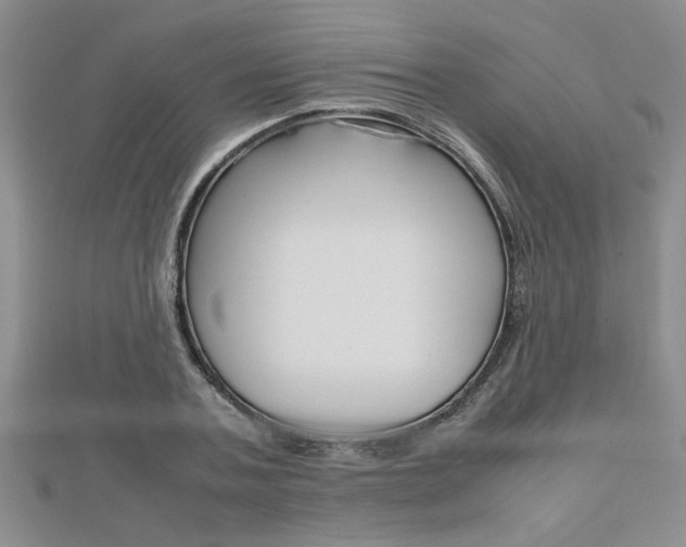 X0000112470787200908170949