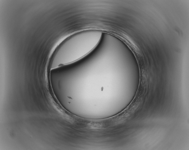 X0000112470788200908170949