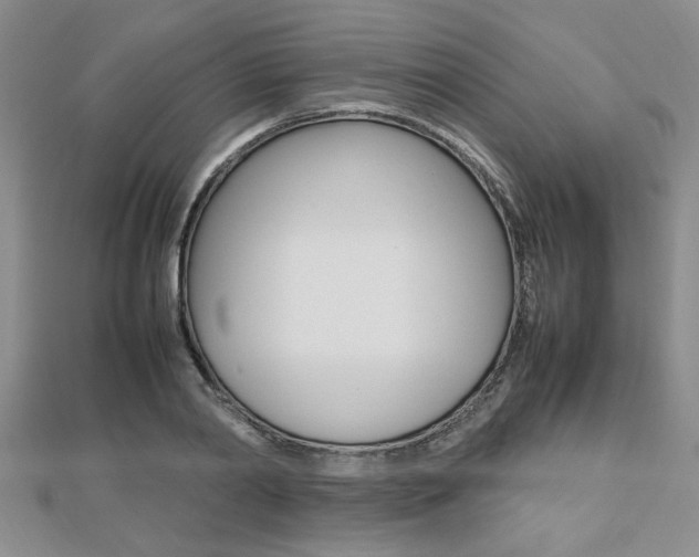 X0000112470790200908170949