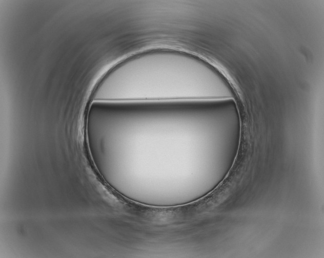 X0000112470791200908170949