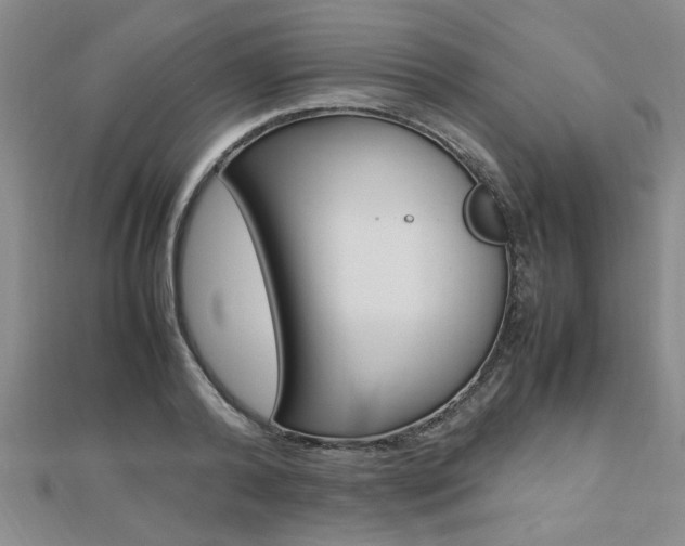 X0000112470792200908170949