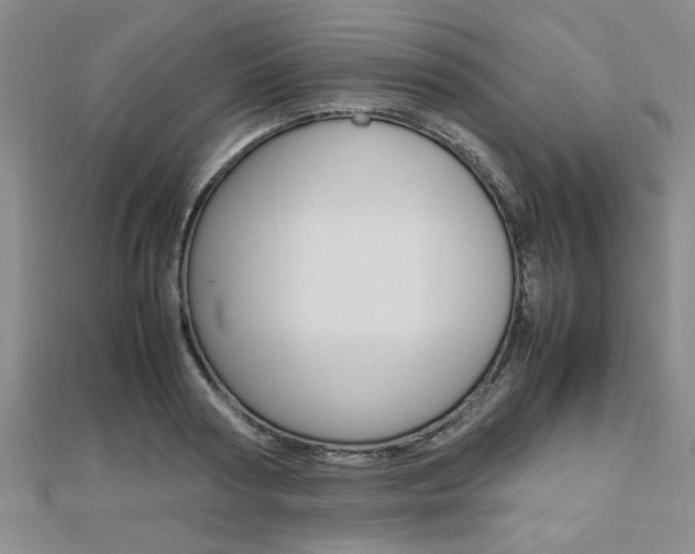 X0000112470794200908170949