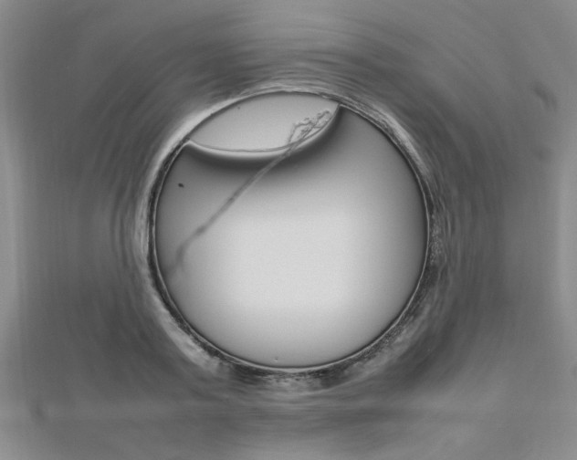 X0000112470795200908170949