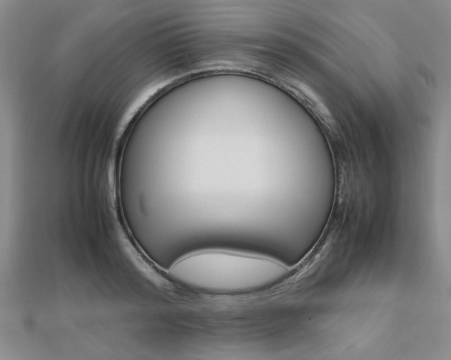 X0000112470796200908170949