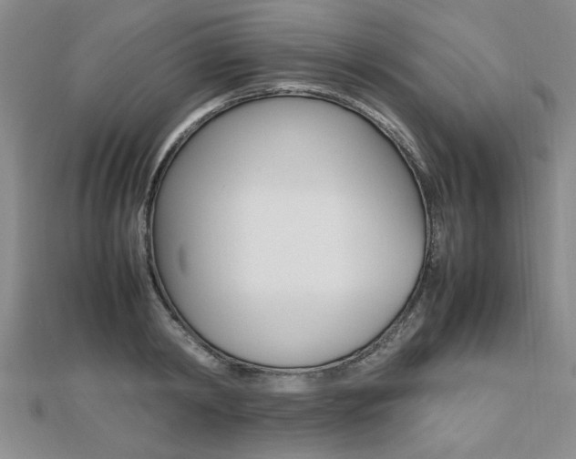 X0000112470798200908170949
