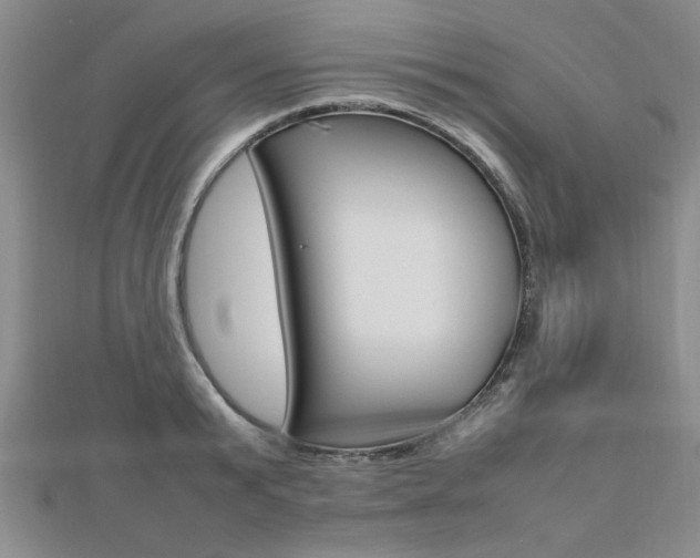 X0000112470799200908170949