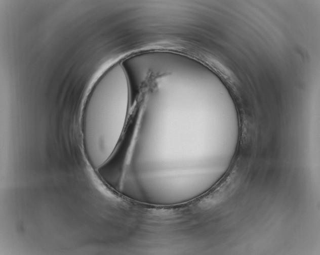 X0000112470800200908170949