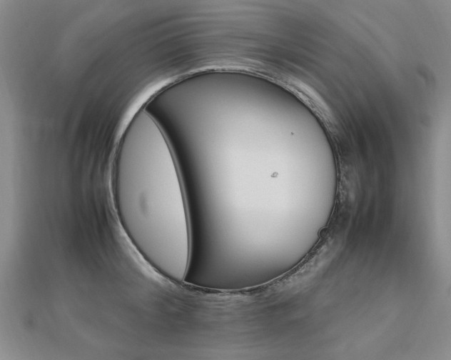 X0000112470804200908170949