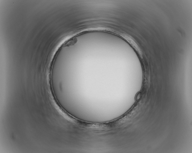X0000112470805200908170949