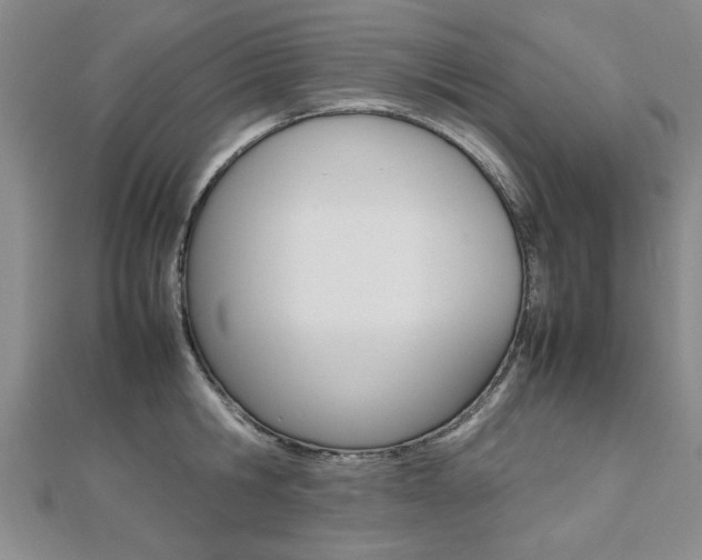 X0000112470806200908170949