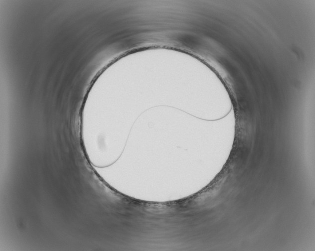 X0000112470807200908170949