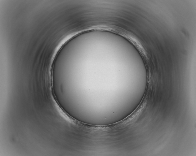 X0000112470808200908170949