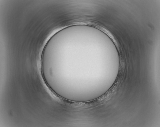 X0000112470811200908170949