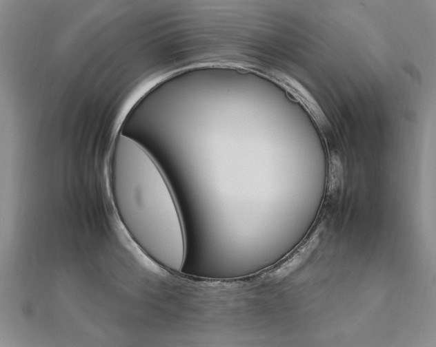 X0000112470812200908170949