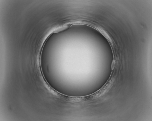 X0000112470813200908170949