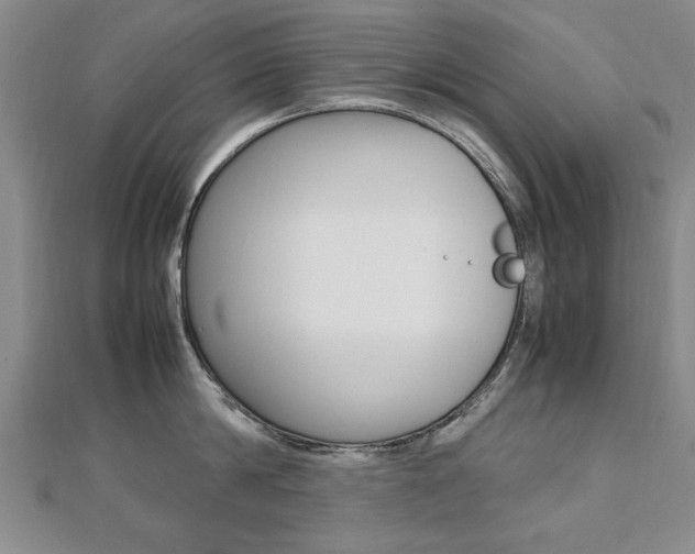 X0000112470814200908170949