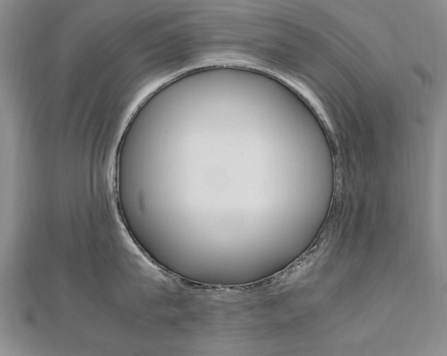 X0000112470815200908170949