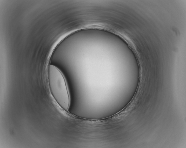 X0000112470816200908170949