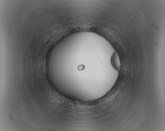 X0000112470818200908170948