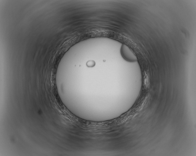 X0000112470819200908170948