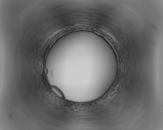 X0000112470821200908170948