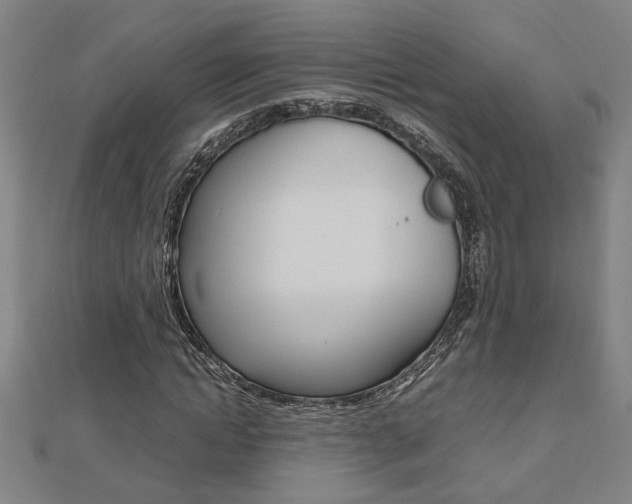 X0000112470822200908170948